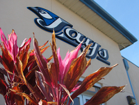 Thumbnail image for bmtc.jpg